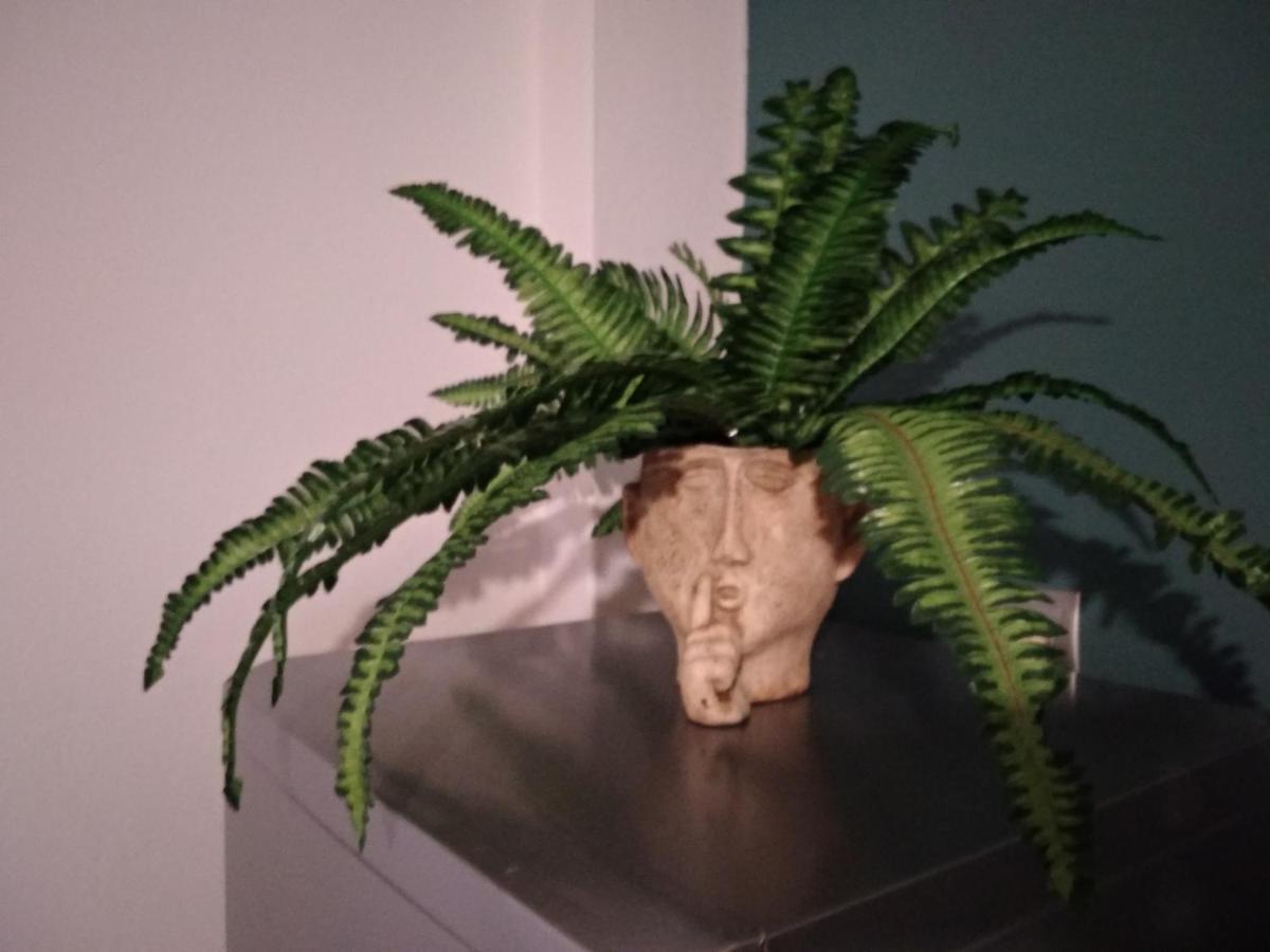 Sitia Cozy Apartment エクステリア 写真